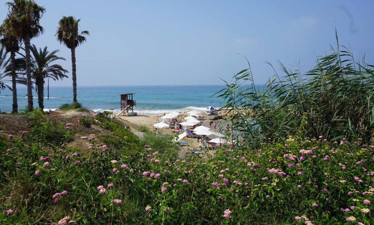 Paphos Gardens, Near Beach Luaran gambar